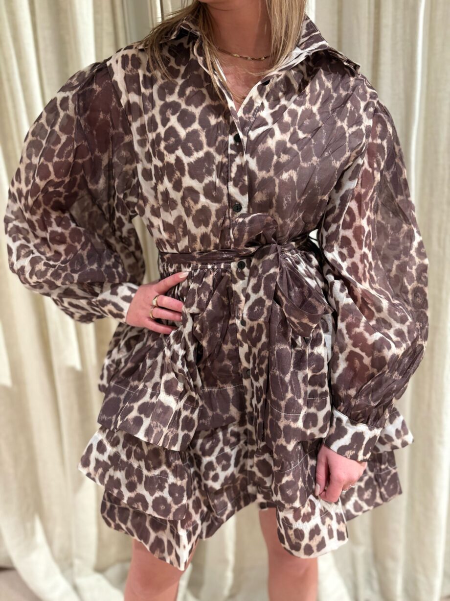 Dress Tiger